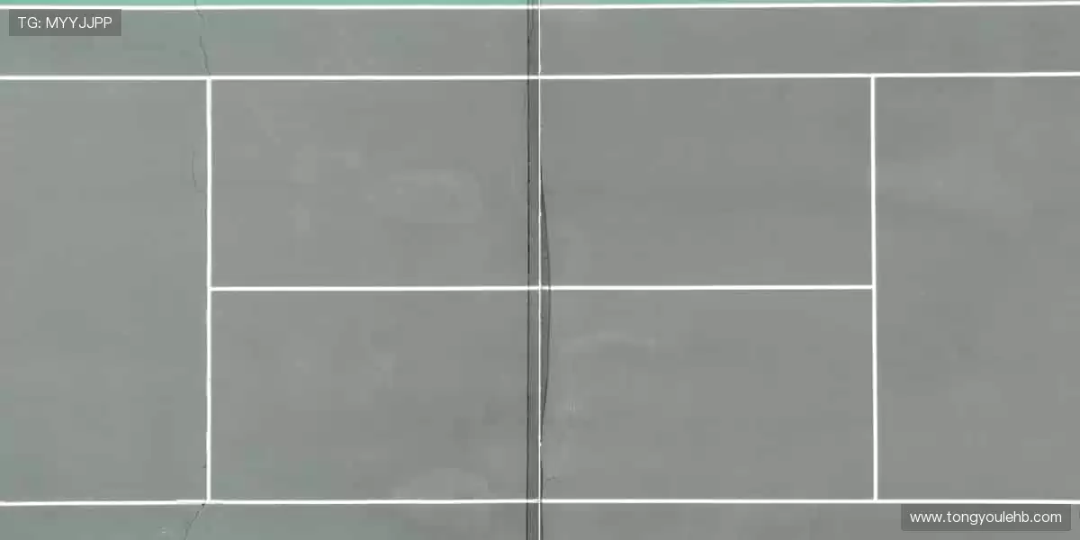 🔥燃爆每一刻！全球顶级赛事，见证冠军诞生的荣耀时刻！🏆